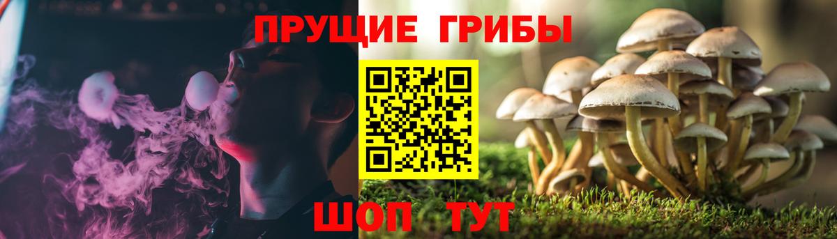 Горячий Ключ  Галлюциногенные грибы Psilocybe  Галлюциногенные грибы Cubensis  Вход с VPN 